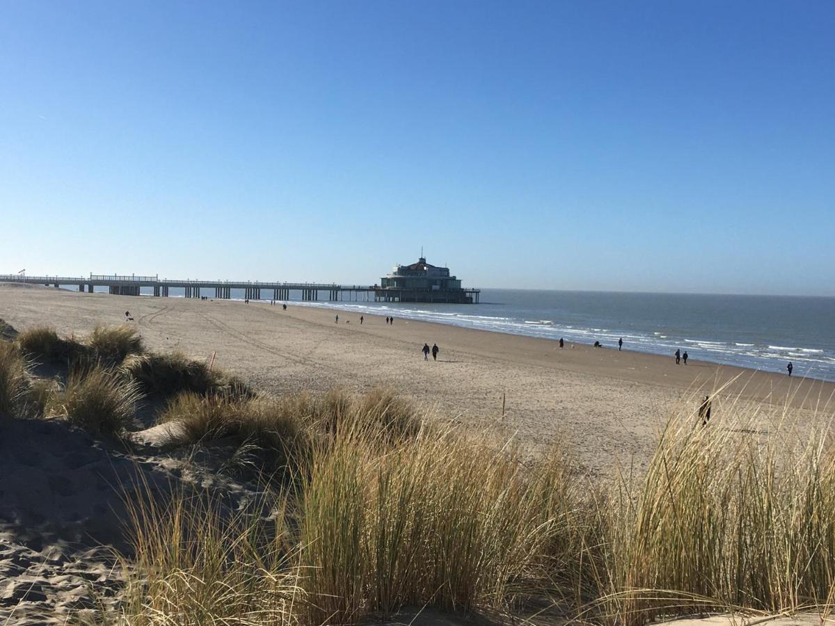 Oase 'T Huyseke Villa Blankenberge Ngoại thất bức ảnh