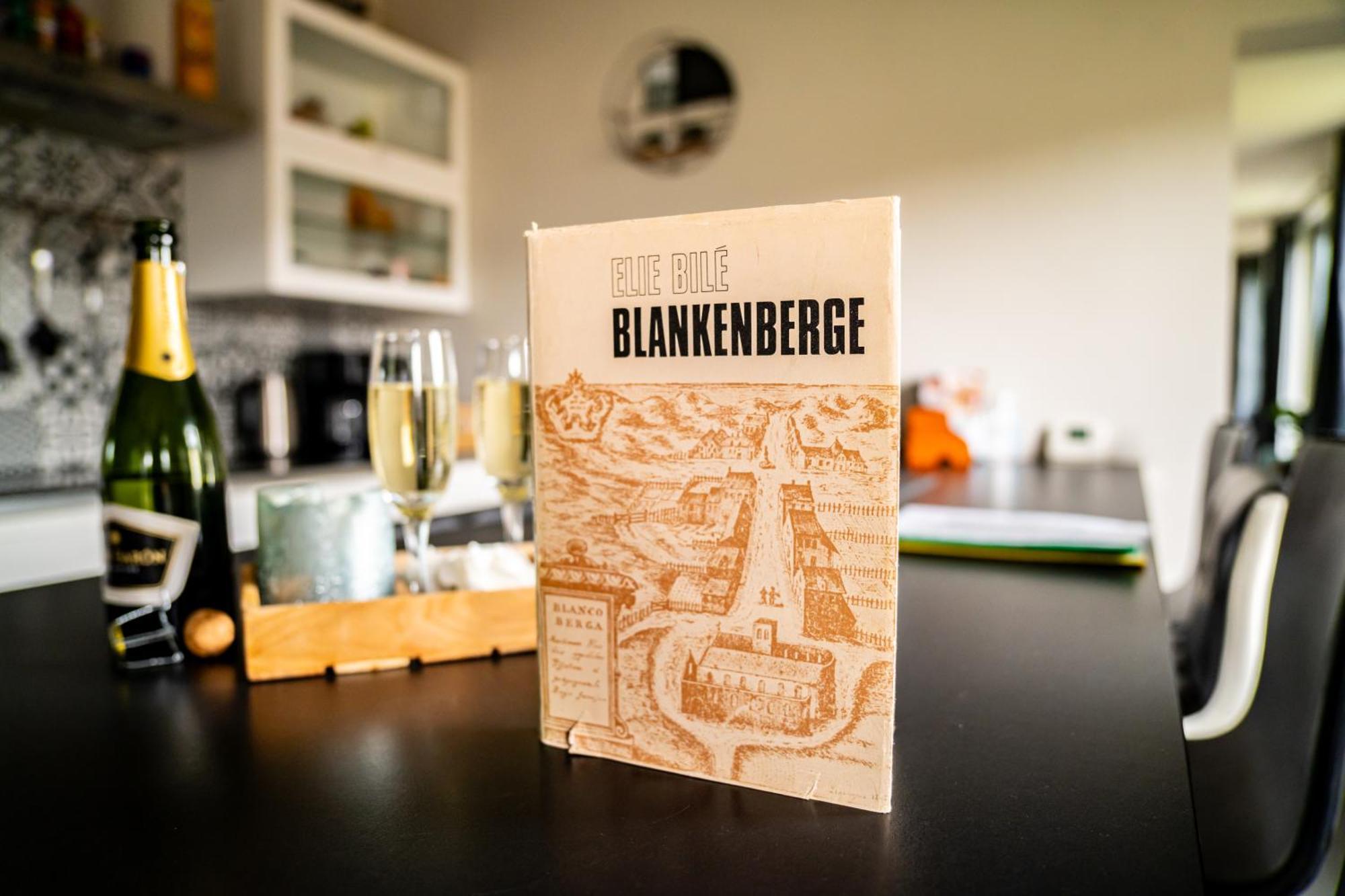 Oase 'T Huyseke Villa Blankenberge Ngoại thất bức ảnh
